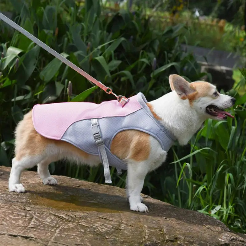 Dog Cooling Vest for Outdoor Activities | Vet-Approved Pet Essential for Comfort, Safety & Wellbeing
