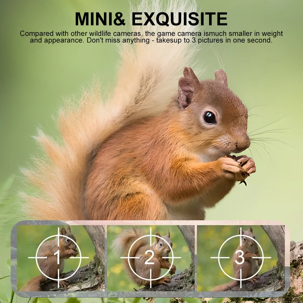 Compact Wildlife Camera with HD Infrared Night Vision | The Tech Upgrade You Didn't Know You Needed — Until You Try It