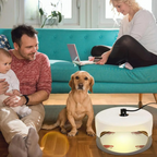 Indoor Bed Bug Trap | Compact, Stylish & Incredibly Useful — An Everyday Home Must-Have