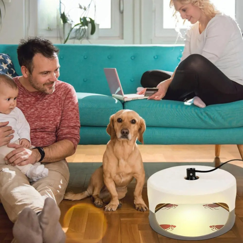 Indoor Bed Bug Trap | Compact, Stylish & Incredibly Useful — An Everyday Home Must-Have