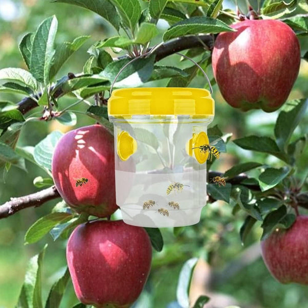 Insect Fruit Fly Traps | Compact, Stylish & Incredibly Useful — An Everyday Home Must-Have