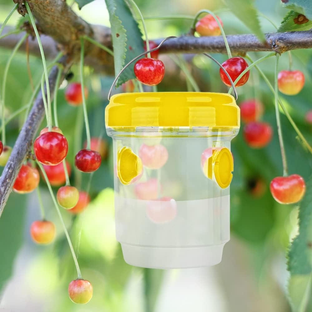Insect Fruit Fly Traps | Compact, Stylish & Incredibly Useful — An Everyday Home Must-Have