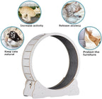 Cat Exercise Wheel | Trusted by Pet Owners — Safe, Easy to Use & Built to Last