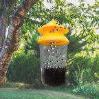 Reusable Outdoor Hanging Fly Trap | Make Your Garden Beautiful, Functional & the Envy of the Neighbourhood