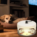 Indoor Bed Bug Trap | Compact, Stylish & Incredibly Useful — An Everyday Home Must-Have
