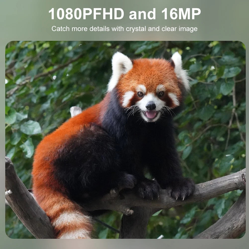 Compact Wildlife Camera with HD Infrared Night Vision | The Tech Upgrade You Didn't Know You Needed — Until You Try It