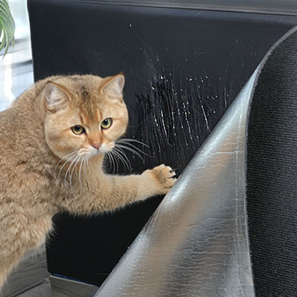 Cat Scratch Couch Guard Protector | Self-Adhesive Furniture Scratch Shield for Sofas and Upholstery