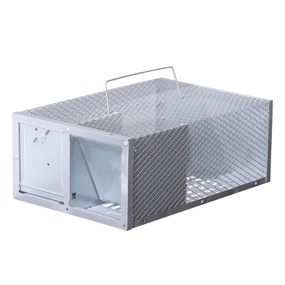 Single Door Reusable Mouse Trap Metal Cage | Quality Home Accessory Built to Look Great & Last for Years