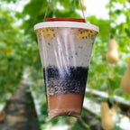 Eco-Friendly Disposable Fly Trap Outdoor Bag | Make Your Garden Beautiful, Functional & the Envy of the Neighbourhood