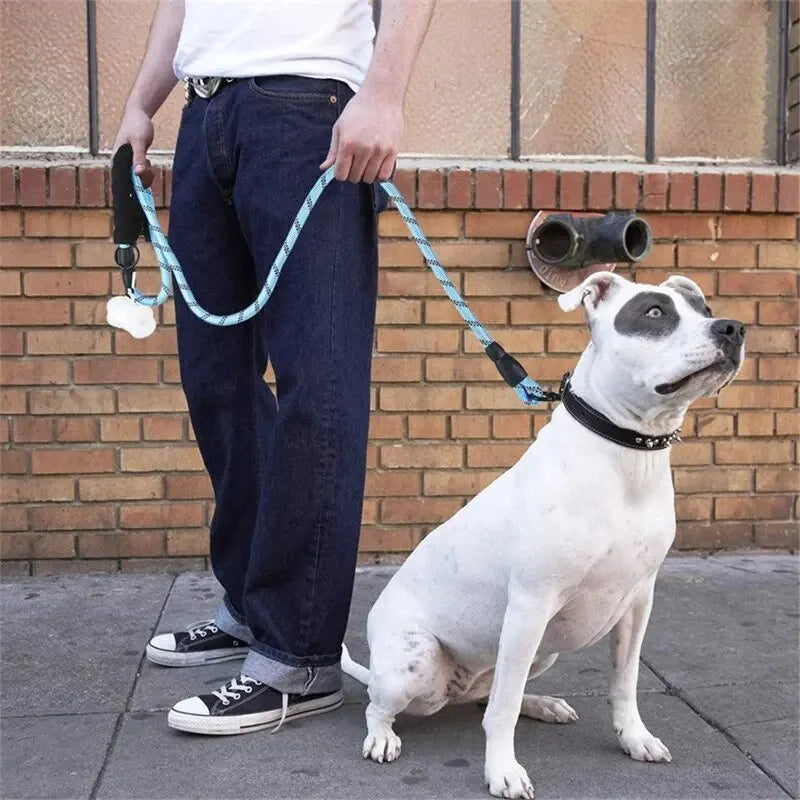 Reflective Dog Leash with Padded Handle | Designed for Happy, Healthy, Well-Loved Pets of Every Breed