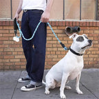 Reflective Dog Leash with Padded Handle | Designed for Happy, Healthy, Well-Loved Pets of Every Breed