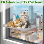 Cat Hammock Window | Durable Pet Accessory Built for Active, Playful, Energetic Pets
