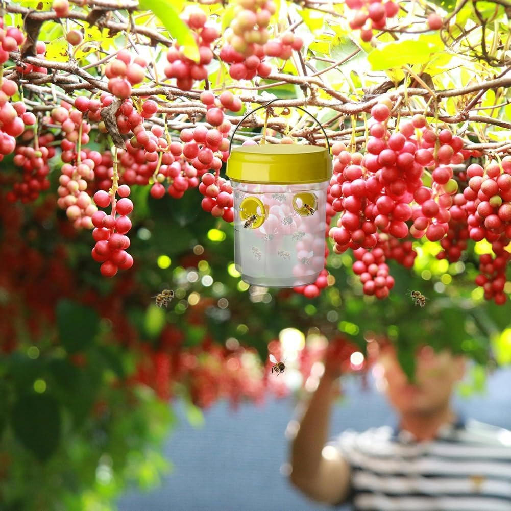 Insect Fruit Fly Traps | Compact, Stylish & Incredibly Useful — An Everyday Home Must-Have