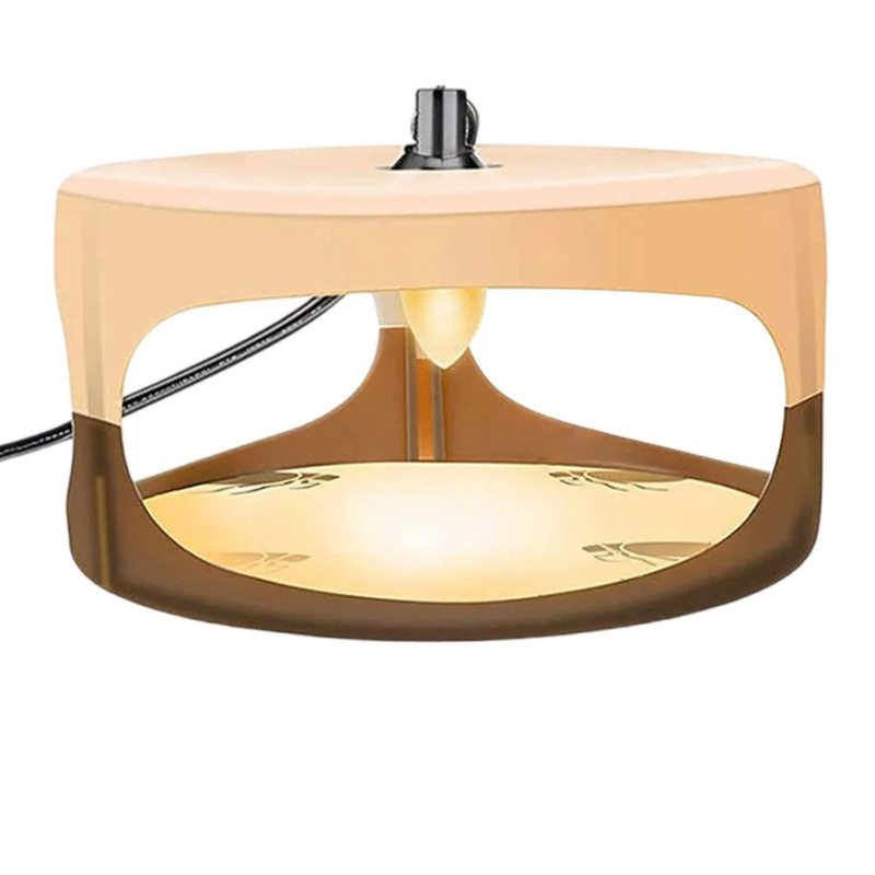 Indoor Bed Bug Trap | Compact, Stylish & Incredibly Useful — An Everyday Home Must-Have
