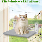 Cat Hammock Window | Durable Pet Accessory Built for Active, Playful, Energetic Pets