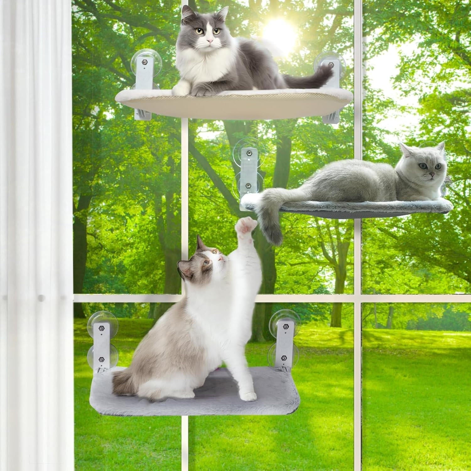 Cat Hammock Window | Durable Pet Accessory Built for Active, Playful, Energetic Pets