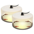 Indoor Bed Bug Trap | Compact, Stylish & Incredibly Useful — An Everyday Home Must-Have