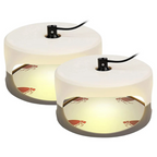 Indoor Bed Bug Trap | Compact, Stylish & Incredibly Useful — An Everyday Home Must-Have