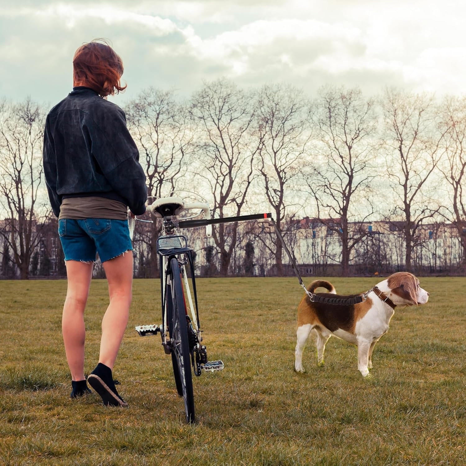 Bike Dog Tow Leash | Vet-Approved Pet Essential for Comfort, Safety & Wellbeing