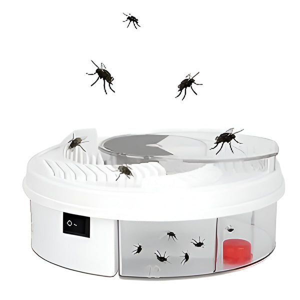 Highly Effective Fly Trap | Upgrade Your Home with This Thoughtfully Designed Everyday Essential