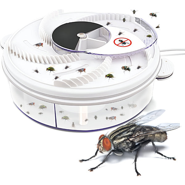Highly Effective Fly Trap | Upgrade Your Home with This Thoughtfully Designed Everyday Essential