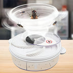 Highly Effective Fly Trap | Upgrade Your Home with This Thoughtfully Designed Everyday Essential
