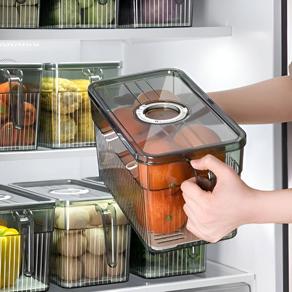 Perfect Refrigerator Box | Effortlessly Functional Home Essential for Clean, Organised Living
