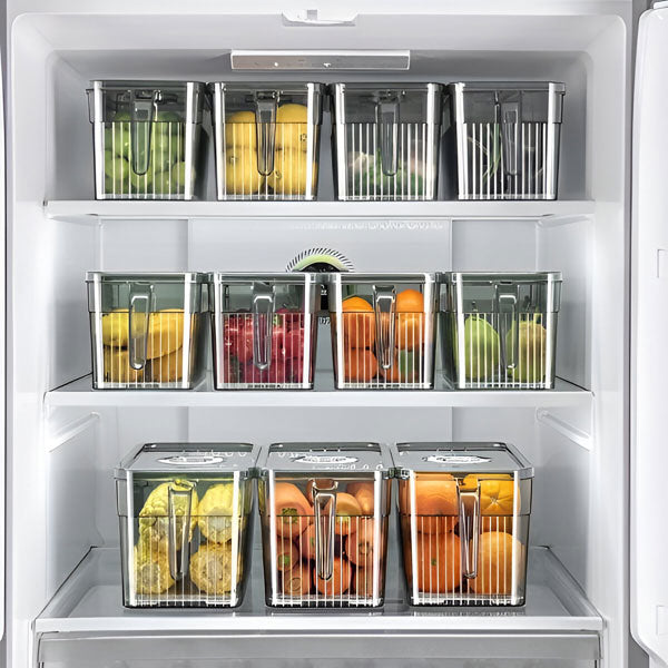 Perfect Refrigerator Box | Effortlessly Functional Home Essential for Clean, Organised Living