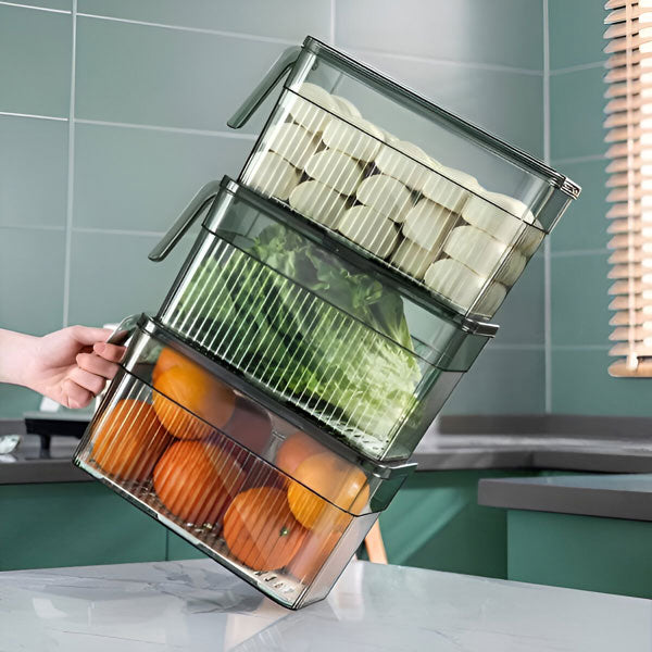 Perfect Refrigerator Box | Effortlessly Functional Home Essential for Clean, Organised Living