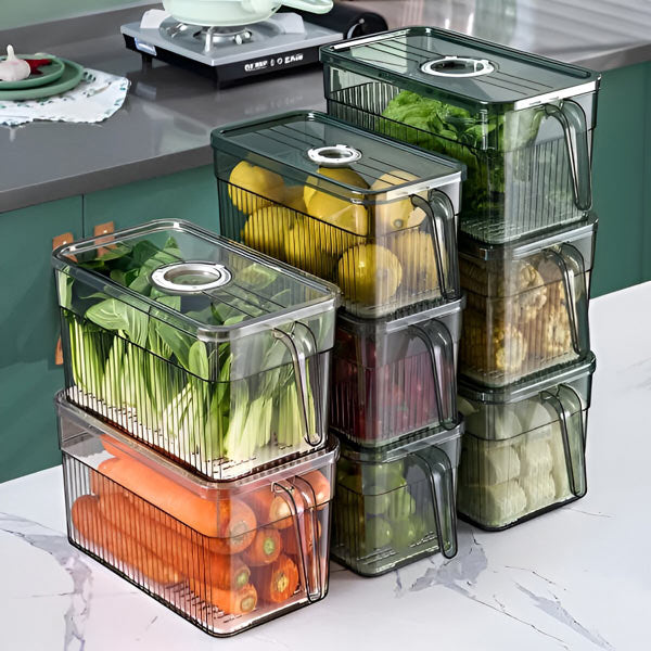 Perfect Refrigerator Box | Effortlessly Functional Home Essential for Clean, Organised Living