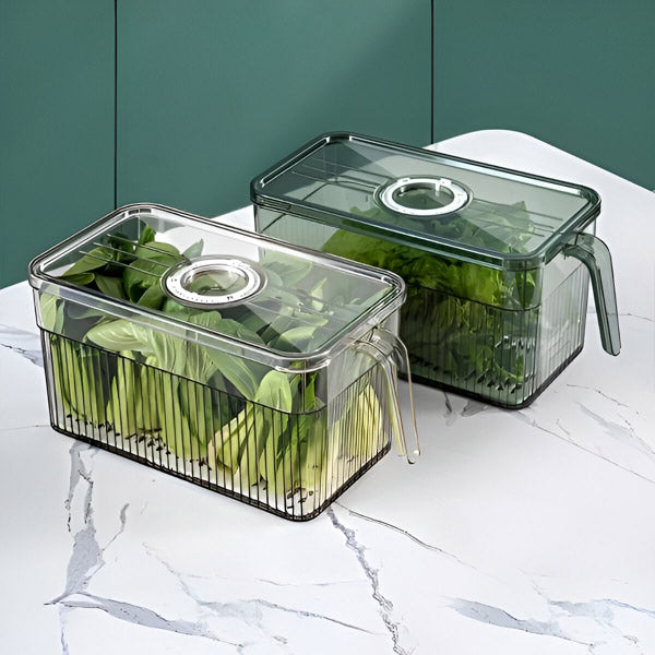 Perfect Refrigerator Box | Effortlessly Functional Home Essential for Clean, Organised Living