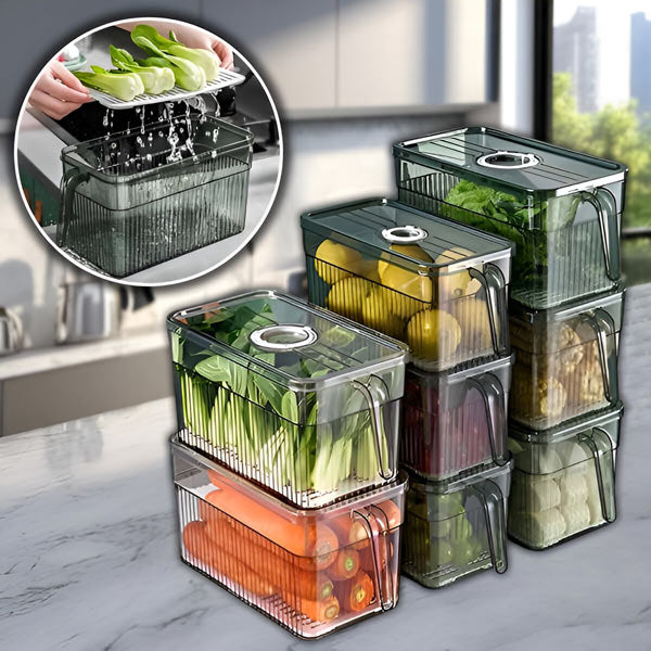 Perfect Refrigerator Box | Effortlessly Functional Home Essential for Clean, Organised Living