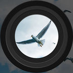 Long-range night vision binoculars | Smart, Reliable Technology for Easier, More Connected Everyday Living