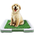 Dog Toilet With Artificial Turf | Trusted by Pet Owners — Safe, Easy to Use & Built to Last