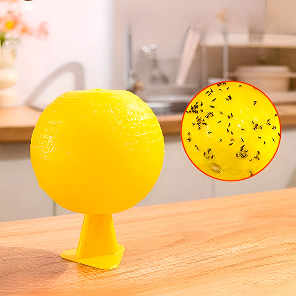 Hanging Fly Trap with Adhesive Layer (6 Pcs) | Style and Practicality Finally Together — The Modern Home Essential