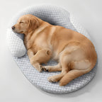 Orthopedic Cooling Dog Bed | Designed for Happy, Healthy, Well-Loved Pets of Every Breed