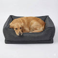 Orthopedic Anti-Slip Dog Car Seat Cover | Waterproof Back Seat Protector with Pet Bed