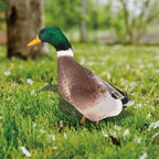 Outdoor Duck Decoration | Hardy, Weather-Resistant & Beautifully Designed for Your Outdoor Space