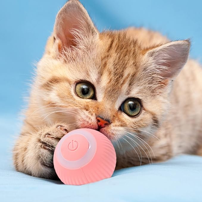 Interactive play ball for cats | Designed for Happy, Healthy, Well-Loved Pets of Every Breed