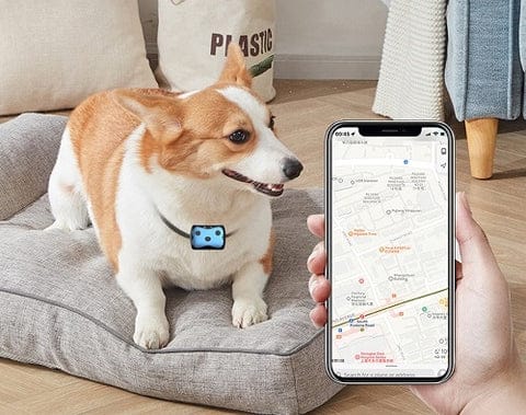 GPS Tracker for Dogs | Location Collar | Premium Pet Care — Safe, Durable & Trusted by Pet Owners Everywhere