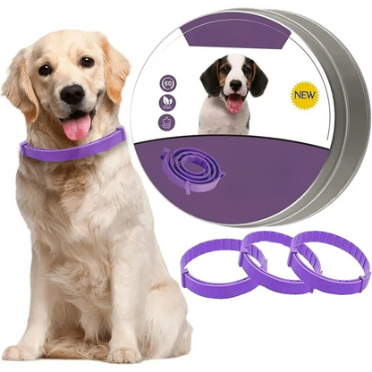 Pheromone Calming Collar | Durable Pet Accessory Built for Active, Playful, Energetic Pets