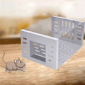 Human Mouse Trap with Safe & Reusable Design | Upgrade Your Home with This Thoughtfully Designed Everyday Essential