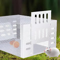 Self-Activating Mouse Trap | Style and Practicality Finally Together — The Modern Home Essential