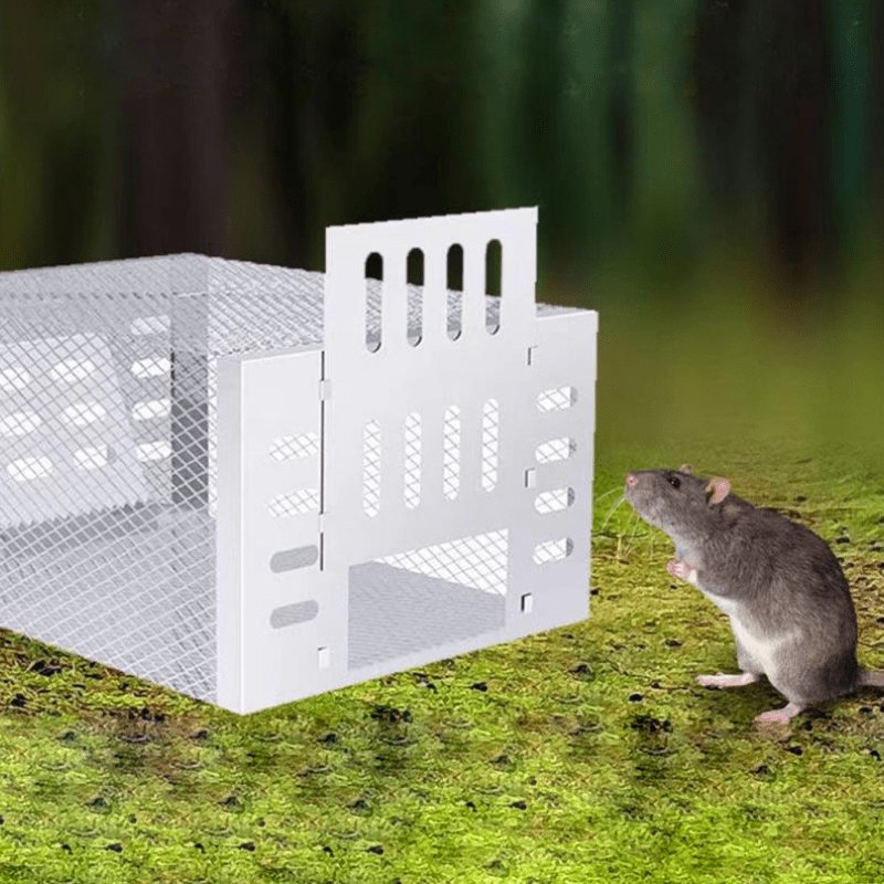 Human Mouse Trap with Safe & Reusable Design | Upgrade Your Home with This Thoughtfully Designed Everyday Essential