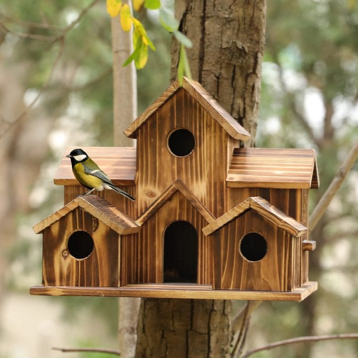 Handcrafted Wooden Birdhouse With 6 Holes | Premium Pet Care — Safe, Durable & Trusted by Pet Owners Everywhere