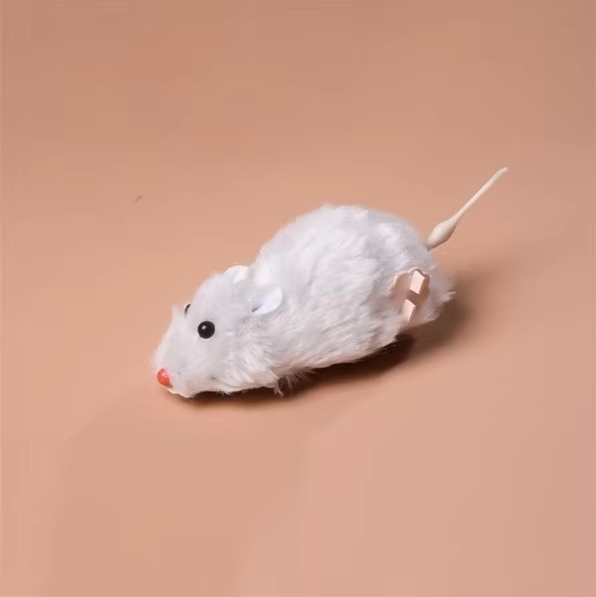 Electric Cat Toy Mouse — Interactive Racing Mouse For Hunting Fun | Engaging Kids Toy That Sparks Creativity, Curiosity & Confidence