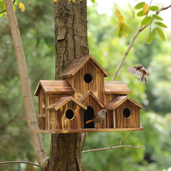 Handcrafted Wooden Birdhouse With 6 Holes | Premium Pet Care — Safe, Durable & Trusted by Pet Owners Everywhere