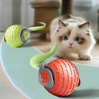 Moving Cat Toy | Fun & Educational Toy for Curious, Creative, Confident Kids