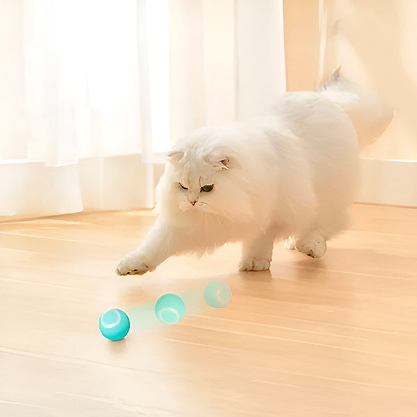 Interactive Pet Ball, Rolls Automatically | Durable Pet Accessory Built for Active, Playful, Energetic Pets