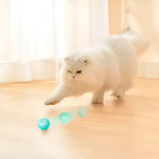 Interactive Pet Ball, Rolls Automatically | Durable Pet Accessory Built for Active, Playful, Energetic Pets